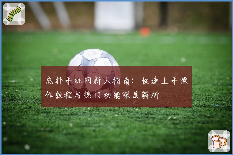 虎扑手机网新人指南：快速上手操作教程与热门功能深度解析