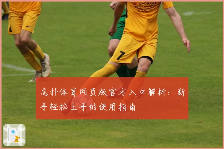 虎扑体育网页版官方入口解析，新手轻松上手的使用指南