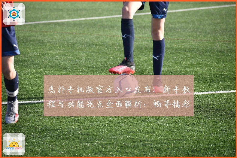 虎扑手机版官方入口发布：新手教程与功能亮点全面解析，畅享精彩社区体验